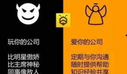 陪玩新闻爆料怎么写文案,新闻爆料背后的真实故事
